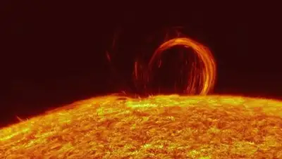 Zakon.kz, фото - Новости Zakon.kz от 08.09.2017 09:31