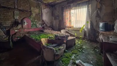 Zakon.kz, фото - Новости Zakon.kz от 04.01.2016 21:54