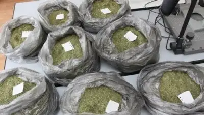 Zakon.kz, фото - Новости Zakon.kz от 25.06.2015 13:50