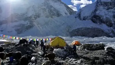 Zakon.kz, фото - Новости Zakon.kz от 26.04.2015 13:00