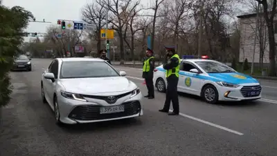 Пресс-служба МВД РК, фото - Новости Zakon.kz от 06.04.2020 20:49