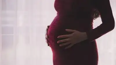 Pixabay, фото - Новости Zakon.kz от 28.06.2021 17:28