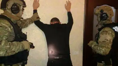 Фото: Sputnik / Редлих, фото - Новости Zakon.kz от 08.01.2018 12:57