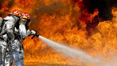 pxhere.com, фото - Новости Zakon.kz от 15.05.2019 15:58