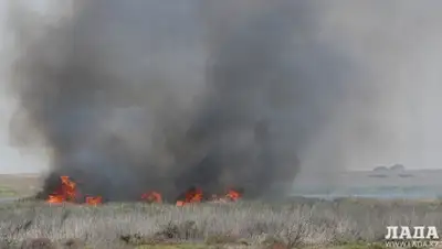 Zakon.kz, фото - Новости Zakon.kz от 01.09.2015 22:19