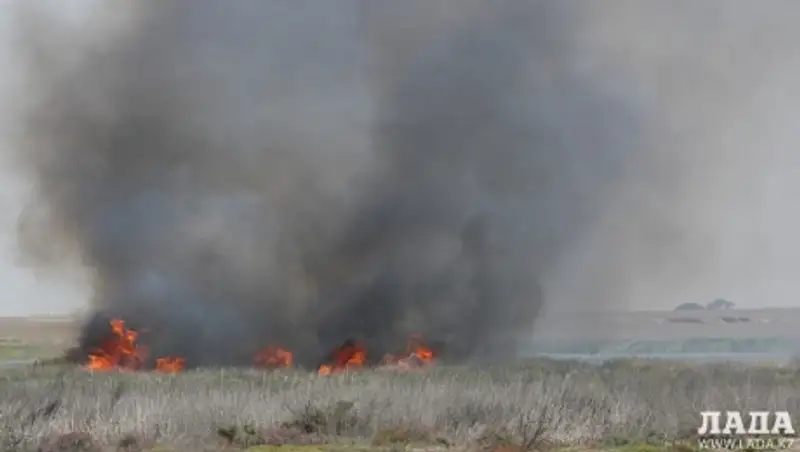 В пригороде Актау загорелся камыш на озере Караколь