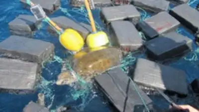 Zakon.kz, фото - Новости Zakon.kz от 21.12.2017 17:28