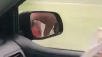 Zakon.kz, фото - Новости Zakon.kz от 16.10.2017 20:22