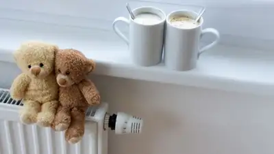 Zakon.kz, фото - Новости Zakon.kz от 31.03.2016 17:10