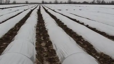 Самат Мырзалиев, фото - Новости Zakon.kz от 22.01.2019 11:28