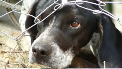 azattyq-ruhy.kz, фото - Новости Zakon.kz от 07.09.2020 16:00