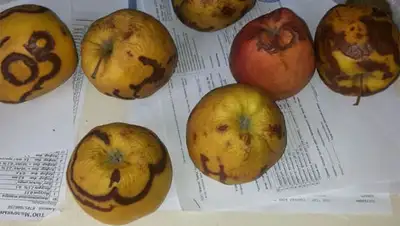 Zakon.kz, фото - Новости Zakon.kz от 08.08.2014 22:45