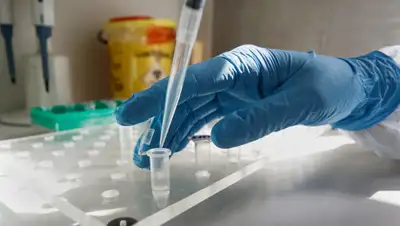 inbusiness.kz, фото - Новости Zakon.kz от 01.04.2020 13:35