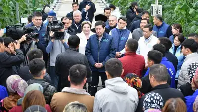 программа, фото - Новости Zakon.kz от 16.11.2022 16:39