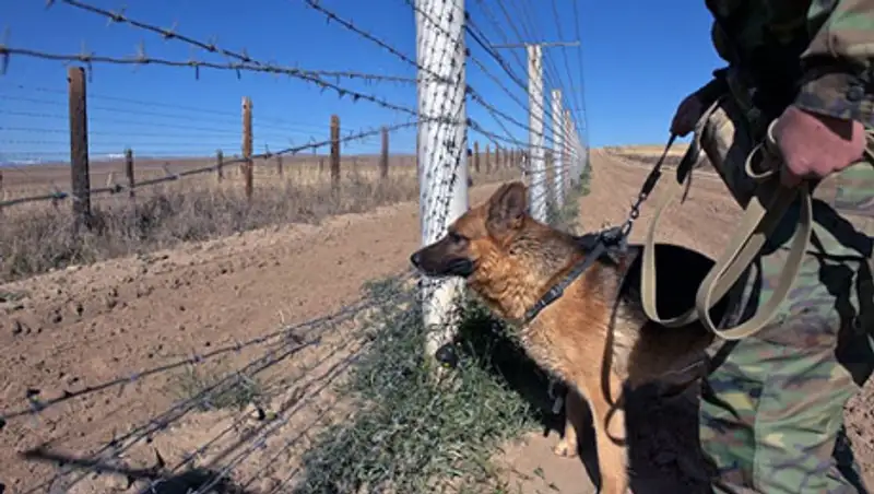 За сутки казахстанские пограничники пресекли сразу несколько случаев контрабанды