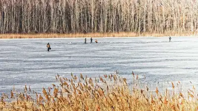 Почему в Павлодарской области задыхается подо льдом рыба, фото - Новости Zakon.kz от 13.02.2023 06:53