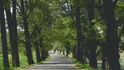Досаев рассказал, будут ли достраивать пешую тропу до Медеу в Алматы, фото - Новости Zakon.kz от 28.09.2023 13:56