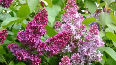 Zakon.kz, фото - Новости Zakon.kz от 24.04.2014 19:23