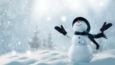 из открытых источников, фото - Новости Zakon.kz от 03.01.2019 09:57