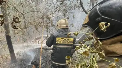 Посещать леса запретили жителям ЗКО , фото - Новости Zakon.kz от 13.06.2023 03:16