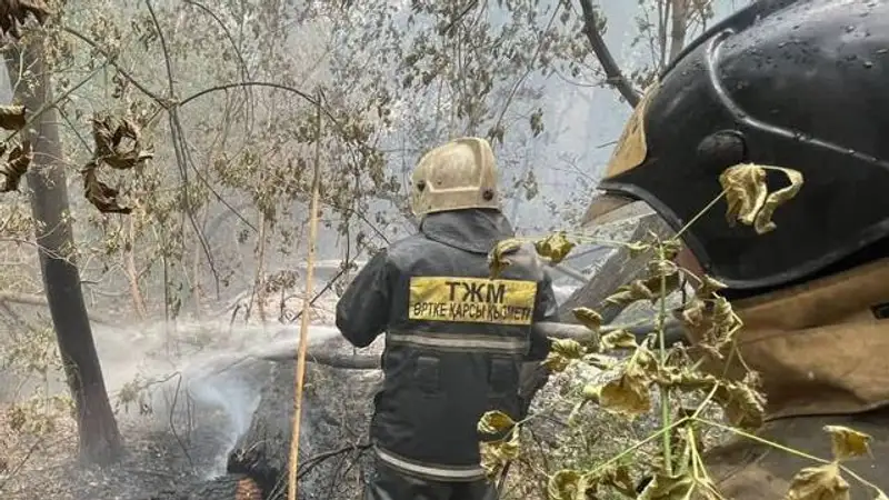 Посещать леса запретили жителям ЗКО