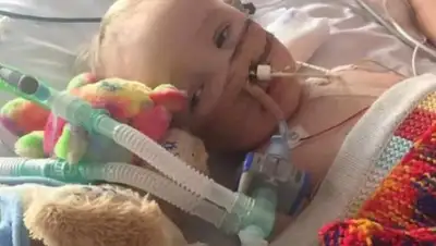 Zakon.kz, фото - Новости Zakon.kz от 27.07.2017 14:24