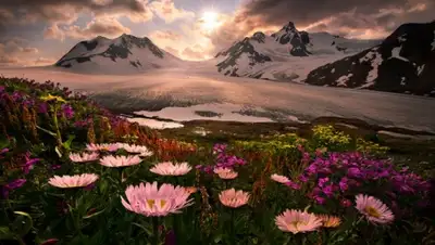 Zakon.kz, фото - Новости Zakon.kz от 04.12.2015 17:06