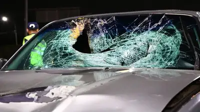 В Алматы насмерть сбили 17-летнего парня, который с друзьями перебегал дорогу, фото - Новости Zakon.kz от 14.09.2023 01:06
