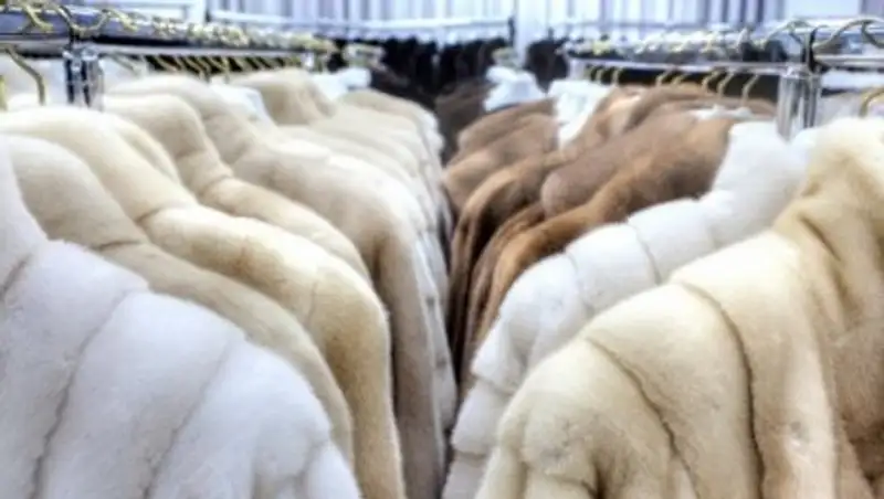 Президент РК подписал закон по введению маркировки меховых изделий