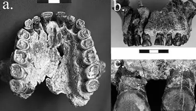 Zakon.kz, фото - Новости Zakon.kz от 21.10.2016 04:35