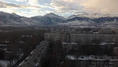 krisha.kz, фото - Новости Zakon.kz от 02.02.2018 16:23