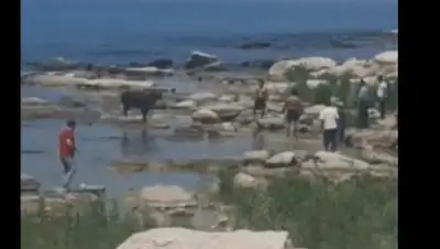 YouTube, фото - Новости Zakon.kz от 31.07.2020 18:09