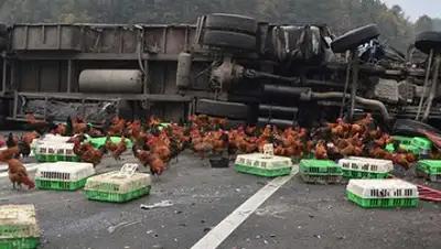 Zakon.kz, фото - Новости Zakon.kz от 24.11.2016 22:40