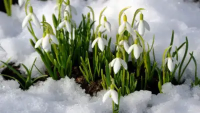 crasy.casa, фото - Новости Zakon.kz от 03.03.2020 06:07