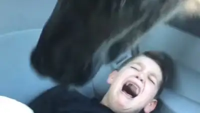 Zakon.kz, фото - Новости Zakon.kz от 22.03.2017 19:40