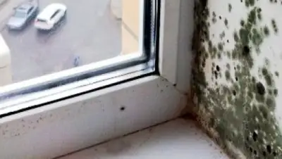 Zakon.kz, фото - Новости Zakon.kz от 13.07.2016 01:18