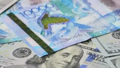 total.kz, фото - Новости Zakon.kz от 25.09.2018 11:32