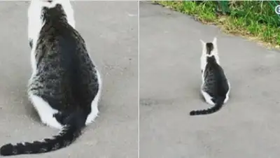 Zakon.kz, фото - Новости Zakon.kz от 01.09.2017 11:19