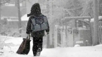 Павон, фото - Новости Zakon.kz от 24.01.2020 11:50