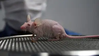 Krishnendu Halder / Reuters, фото - Новости Zakon.kz от 23.01.2019 20:53