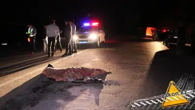 zakon.kz, фото - Новости Zakon.kz от 22.09.2019 14:21