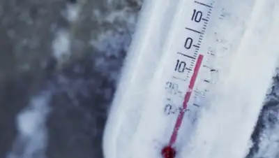 Zakon.kz, фото - Новости Zakon.kz от 23.11.2015 12:00