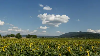 pxhere.com, фото - Новости Zakon.kz от 23.07.2019 09:06