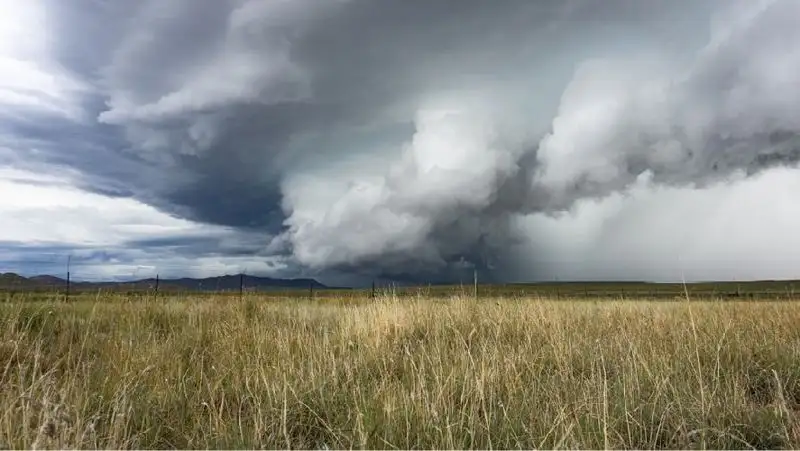 Ветер, гроза и пожарная опасность: штормовое предупреждение объявлено в трех регионах