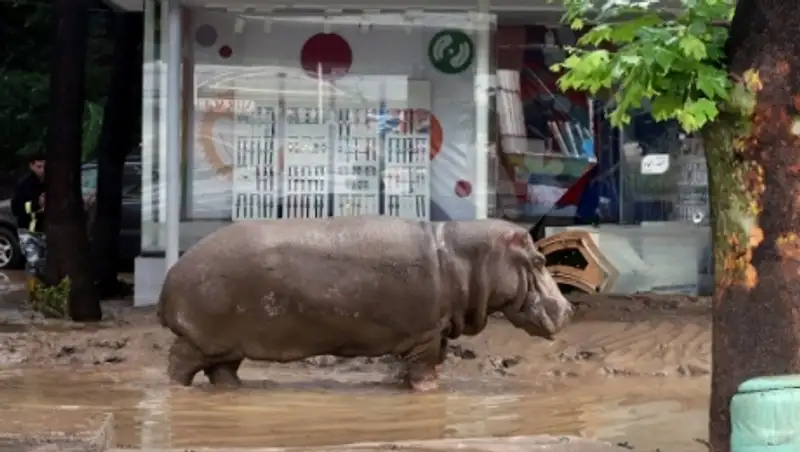 Затопленный Тбилиси: последствия ливней в грузинской столице
