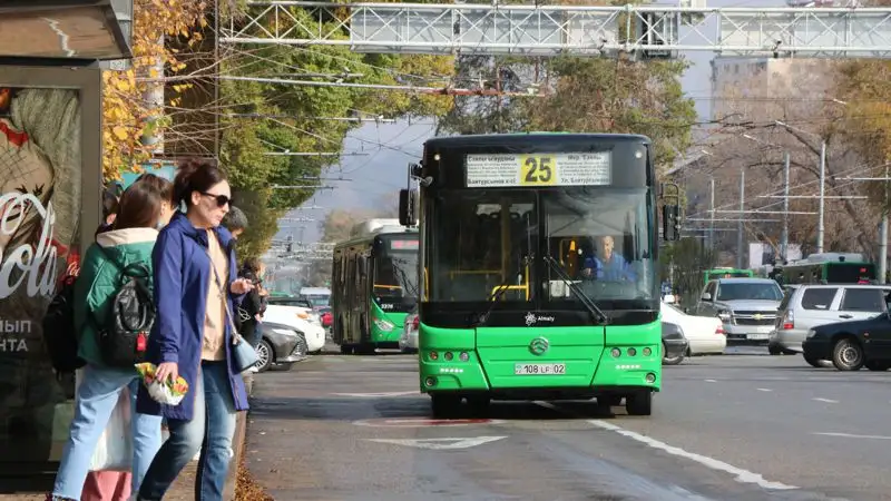 Досаев о скоростном транспорте в Алматы: Мы придем к этому