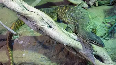 Zakon.kz, фото - Новости Zakon.kz от 30.06.2015 18:15