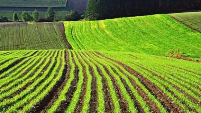 zakon.kz, фото - Новости Zakon.kz от 05.10.2018 13:37