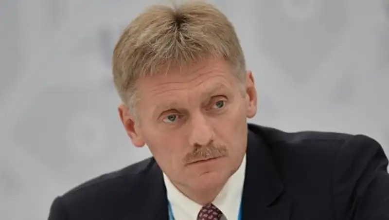 Кремль прокомментировал японское предложение России по Курилам