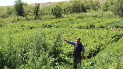 пресс-служба акима Алматинской области, фото - Новости Zakon.kz от 08.08.2018 13:06